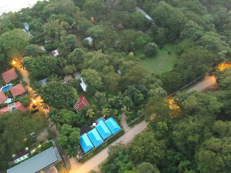 Aerial view of 4 bright blue roofs among trees beside a dirt road at Blue Surf Sanctuary