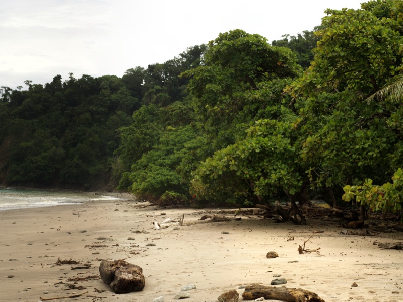 Forest meeting a sandy beach at Cabo Blanco on the Nicoya Peninsula