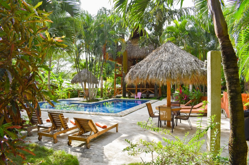 Pool, sun loungers and thatched palapas in the garden at Fuego Lodge